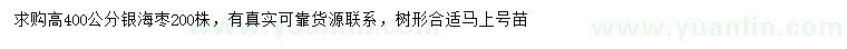 求購(gòu)高400公分銀海棗