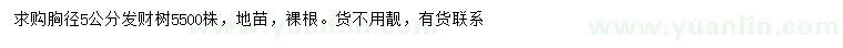 求購(gòu)胸徑5公分發(fā)財(cái)樹(shù)