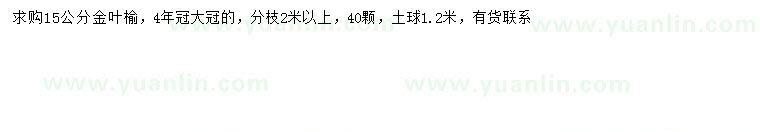 求購15公分金葉榆