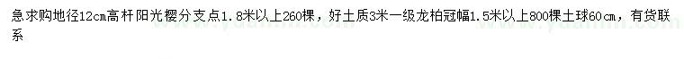 求購(gòu)地徑12公分陽(yáng)光櫻、3米龍柏