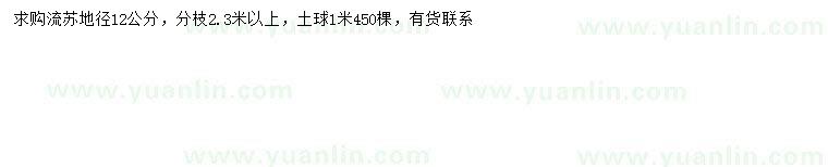 求購地徑12公分流蘇