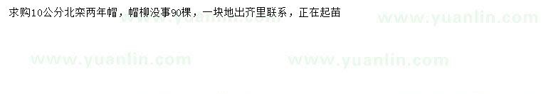 求購10公分北欒