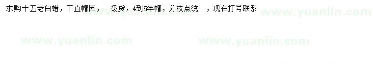 求購15公分老白蠟