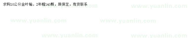求購10公分金葉榆