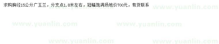求購胸徑15公分廣玉蘭