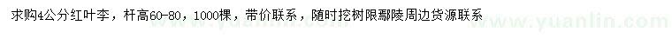 求購4公分紅葉李