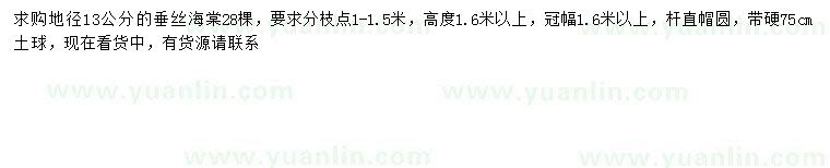 求購(gòu)地徑13公分垂絲海棠