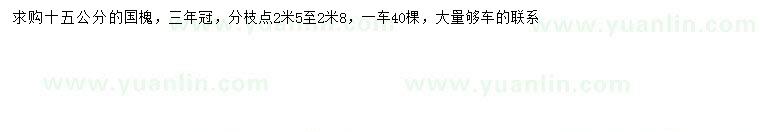 求購(gòu)15公分國(guó)槐