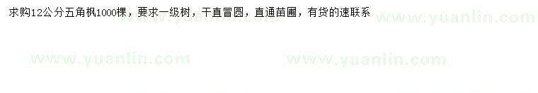 求購12公分五角楓