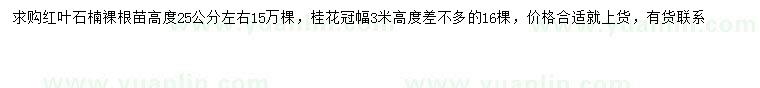 求購(gòu)高25公分左右紅葉石楠、冠幅3米桂花