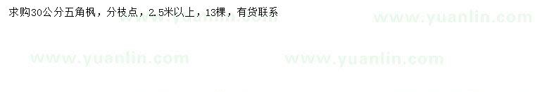 求購30公分五角楓