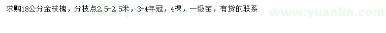 求購18公分金枝槐