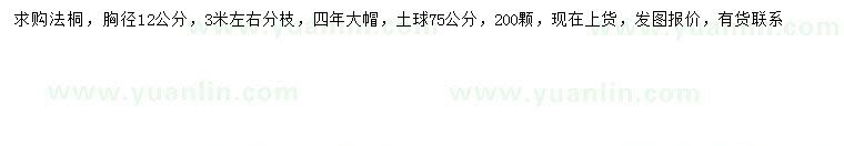 求購(gòu)胸徑12公分法桐