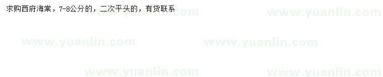 求購7-8公分西府海棠
