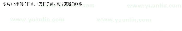 求購1.5米側(cè)柏