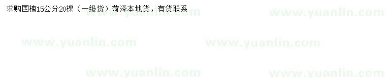 求購15公分國槐