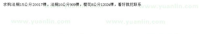 求購10、15公分法桐、8公分櫻花