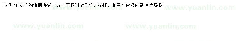 求購(gòu)15公分絢麗海棠