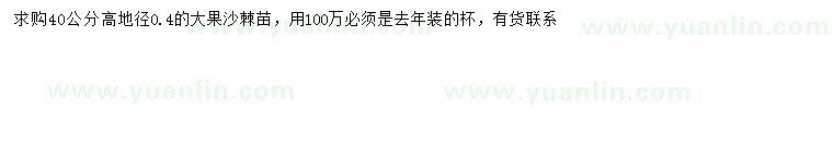 求購(gòu)高40公分沙棘