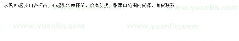 求購60公分以上山杏、40公分沙棘