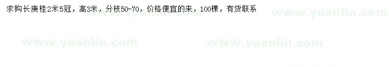 求購高3米長庚桂