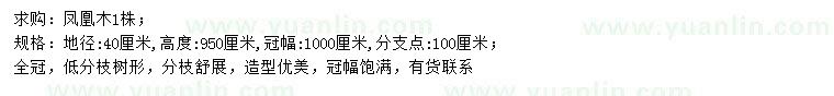 求購地徑40公分鳳凰木