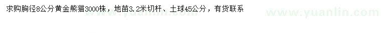 求購胸徑8公分黃金熊貓