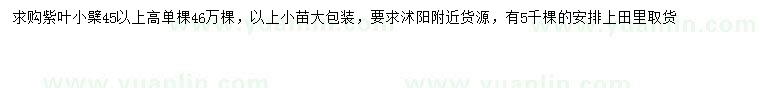 求購(gòu)高45公分以上紫葉小檗