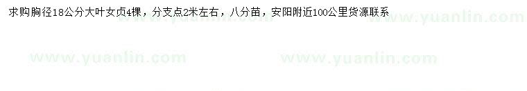 求購(gòu)胸徑18公分大葉女貞