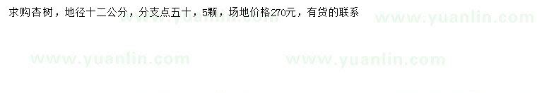 求購地徑12公分杏樹