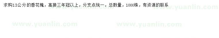 求購13公分香花槐
