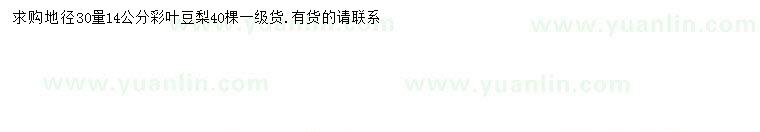 求購(gòu)30量14公分彩葉豆梨