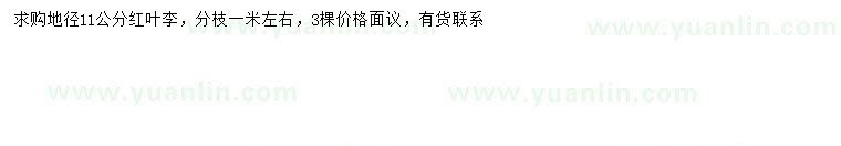 求購地徑11公分紅葉李