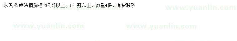 求購胸徑40公分以上法桐