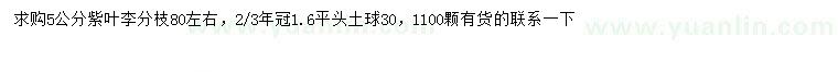 求購5公分紫葉李