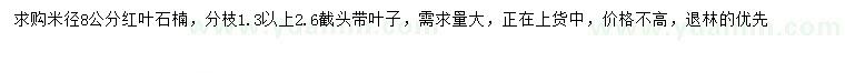 求購米徑8公分紅葉石楠