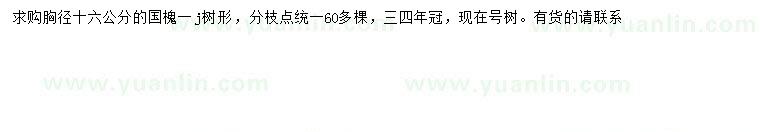 求購(gòu)胸徑16公分國(guó)槐