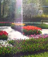 蕭山新街綠都花木園藝公司
