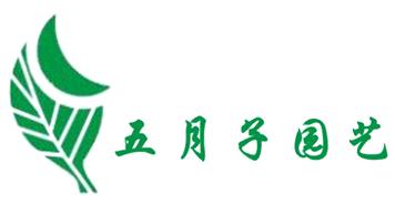 永嘉五月子植物裝飾