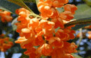 長(zhǎng)沙市好日子農(nóng)業(yè)園藝有限公司
