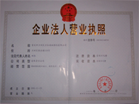 曹樓銀杏銷售基地