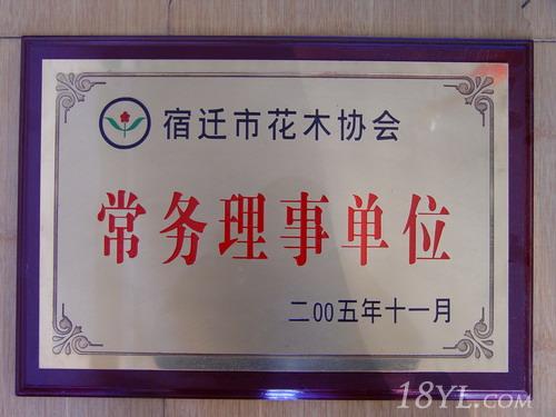 江蘇沭陽花木協(xié)會春生綠化苗圃