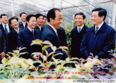江蘇沭陽(yáng)虞姬綠達(dá)苗木基地