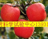 河北果樹科學(xué)試驗(yàn)中心