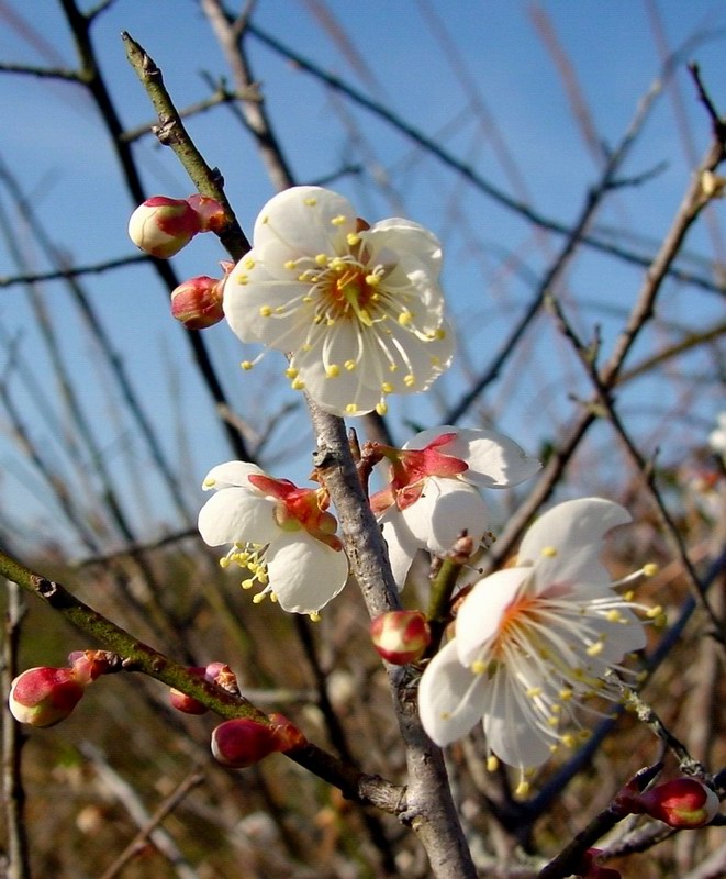 王得進（個體經(jīng)營）