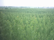 范海彬（個體經(jīng)營）