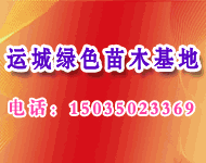 運(yùn)城綠色苗圃
