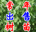沭陽苗木供應(yīng)基地