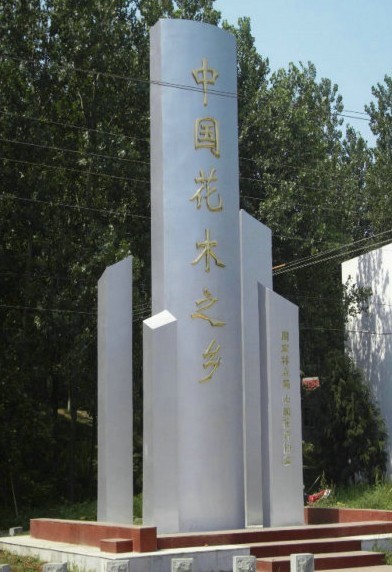 沭陽縣新生園林花木園藝場