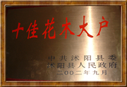 江蘇沭陽富瑞苗圃